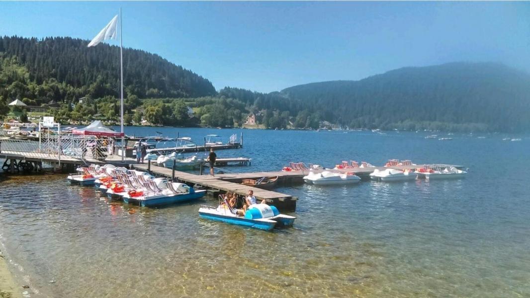 La Perle Au Bord De La Riviere Lägenhet Gérardmer Exteriör bild