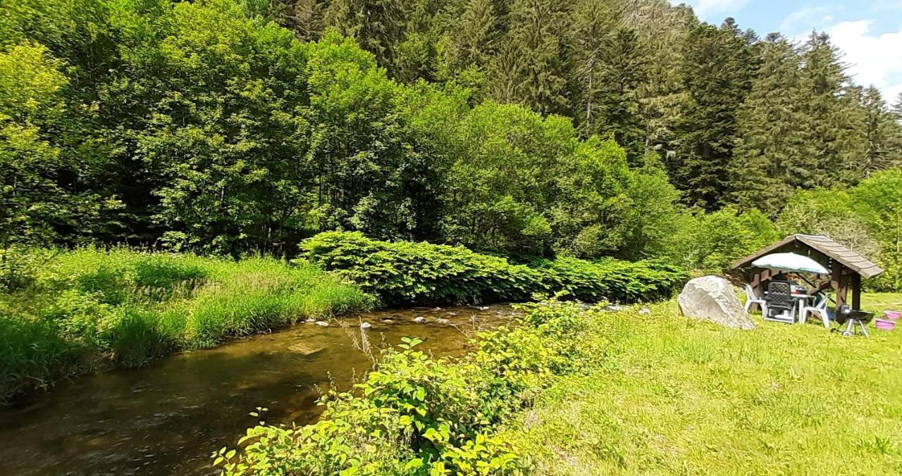 La Perle Au Bord De La Riviere Lägenhet Gérardmer Exteriör bild