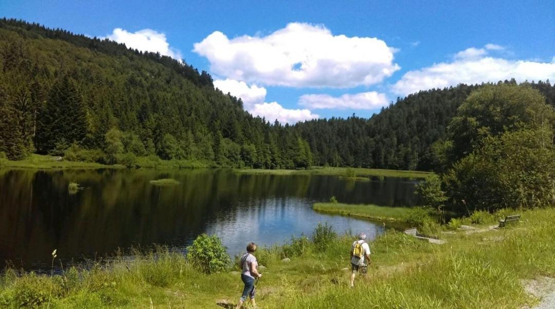 La Perle Au Bord De La Riviere Lägenhet Gérardmer Exteriör bild