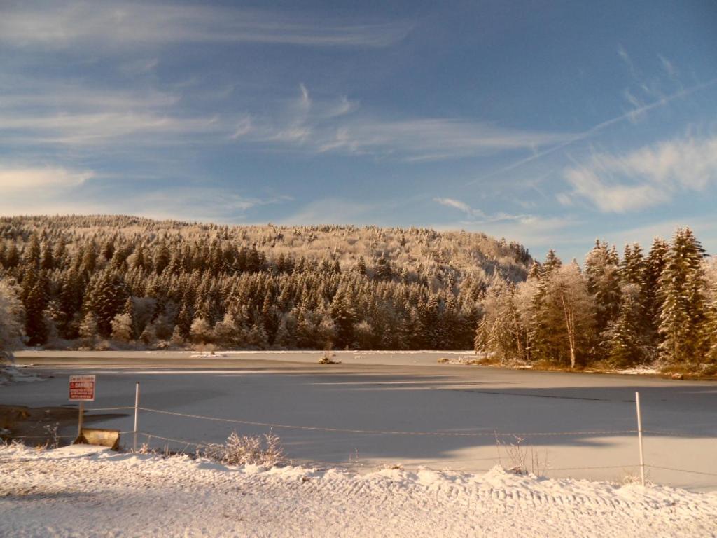 La Perle Au Bord De La Riviere Lägenhet Gérardmer Exteriör bild