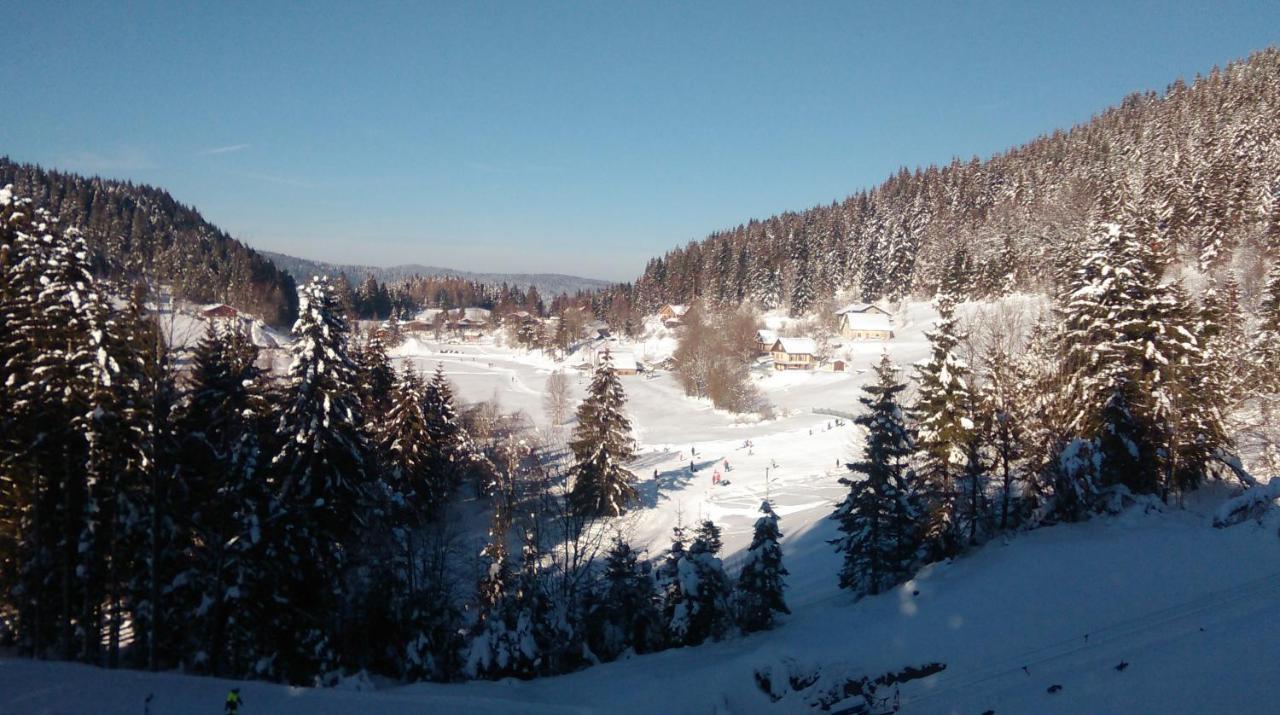 La Perle Au Bord De La Riviere Lägenhet Gérardmer Exteriör bild