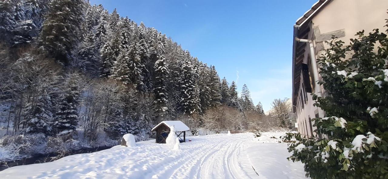 La Perle Au Bord De La Riviere Lägenhet Gérardmer Exteriör bild